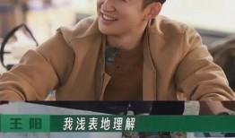 王阳爆料娱乐圈打牌,王阳揭露幕后真相
